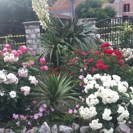 Sobe Seka Guest house Golubac
